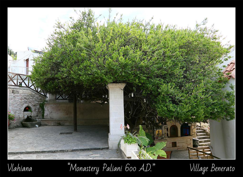 Villa Daskalogianni Vlakhiana ภายนอก รูปภาพ