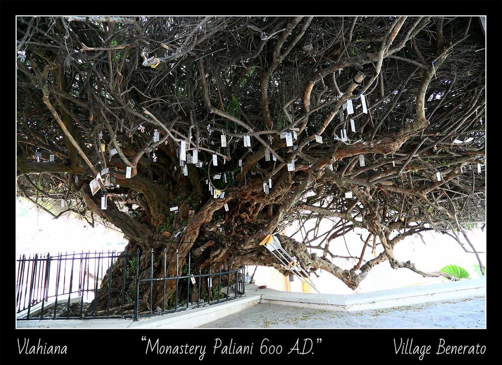Villa Daskalogianni Vlakhiana ภายนอก รูปภาพ