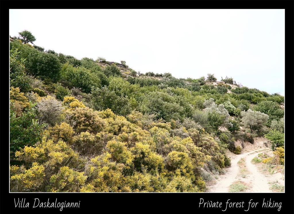 Villa Daskalogianni Vlakhiana ภายนอก รูปภาพ