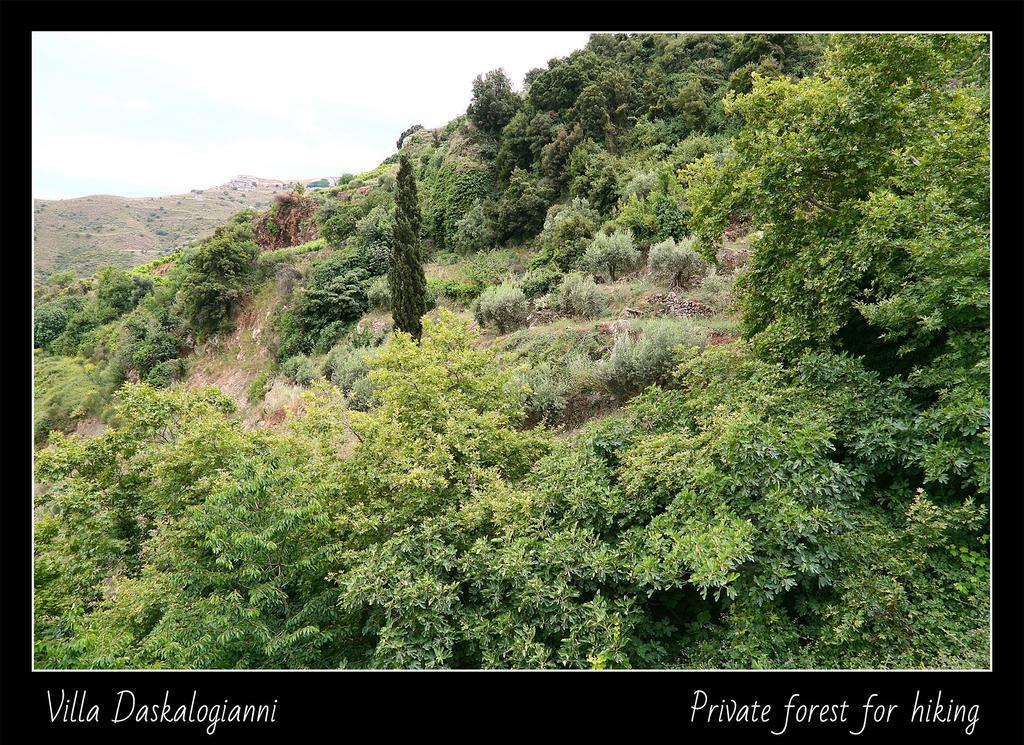 Villa Daskalogianni Vlakhiana ภายนอก รูปภาพ