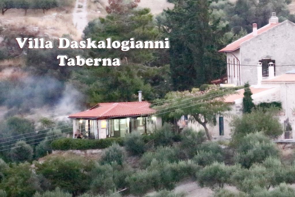Villa Daskalogianni Vlakhiana ภายนอก รูปภาพ